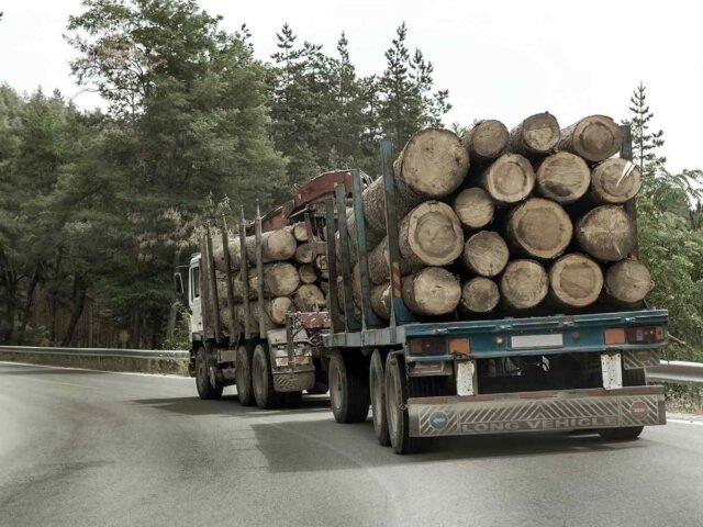 inner_big_trucks_01 https://brossard-enerdem.dac-info.fr/wp-content/uploads/2017/08/inner_big_trucks_01-640x480.jpg